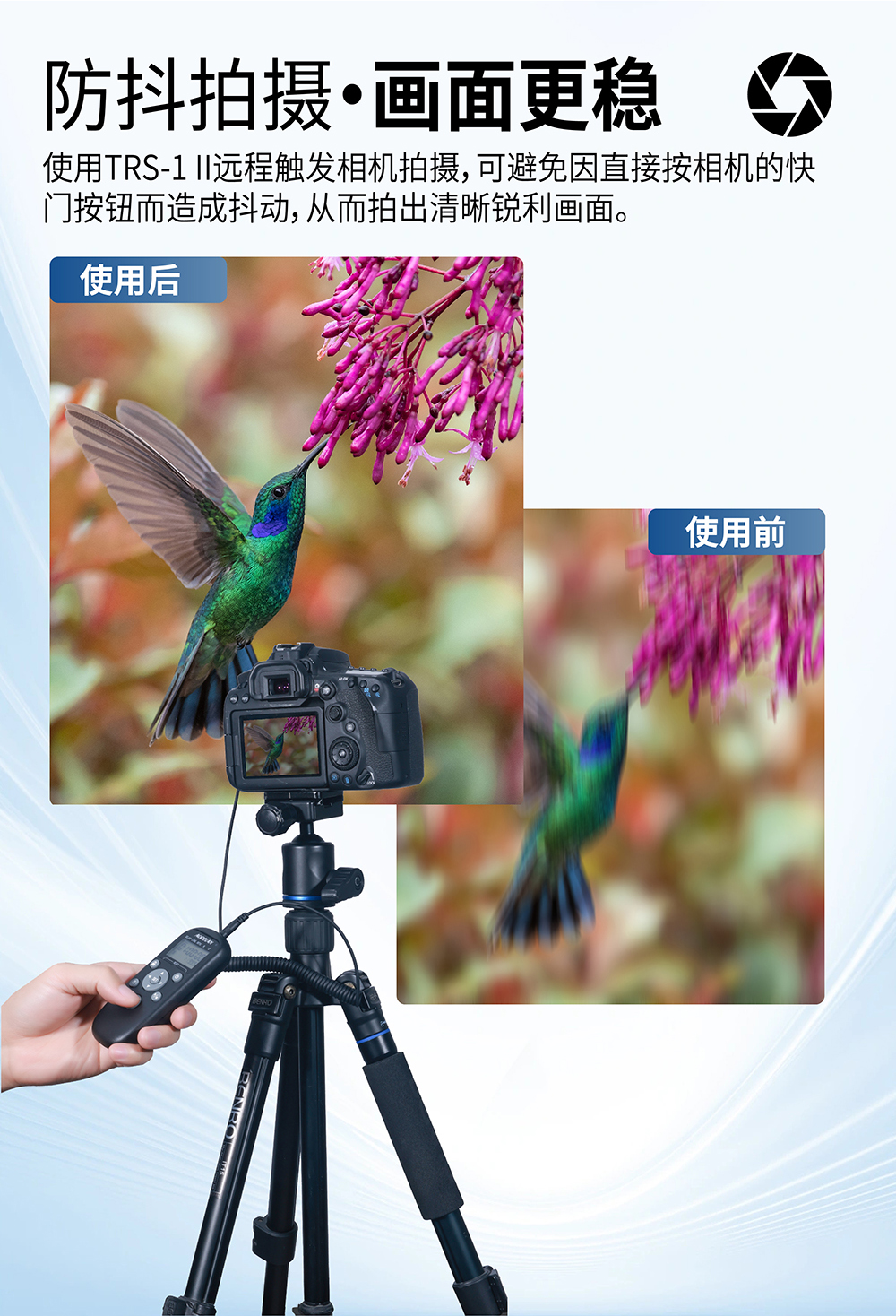 画板 6.jpg