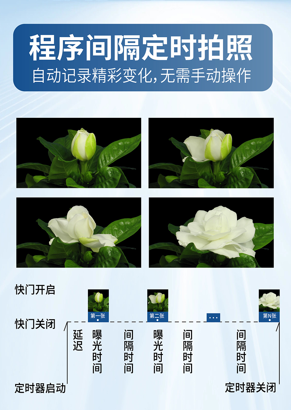画板 7.jpg