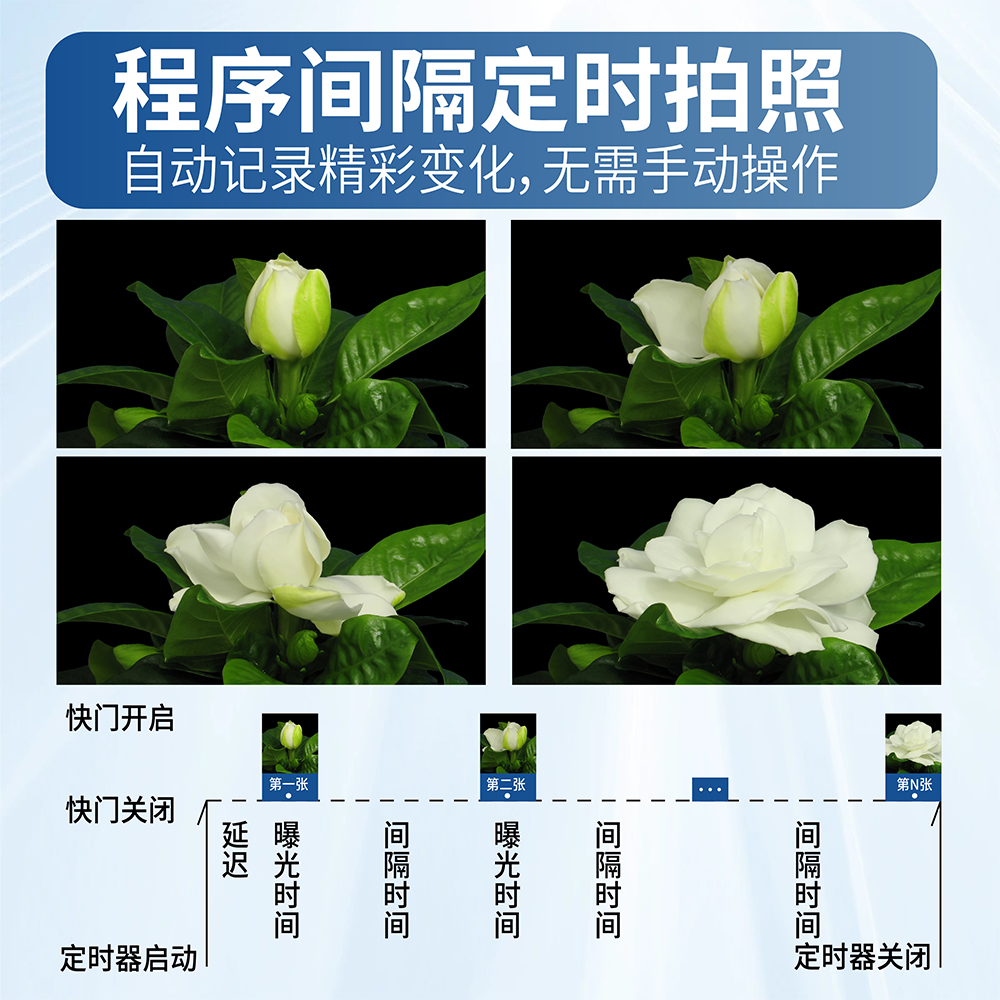 画板 17.jpg