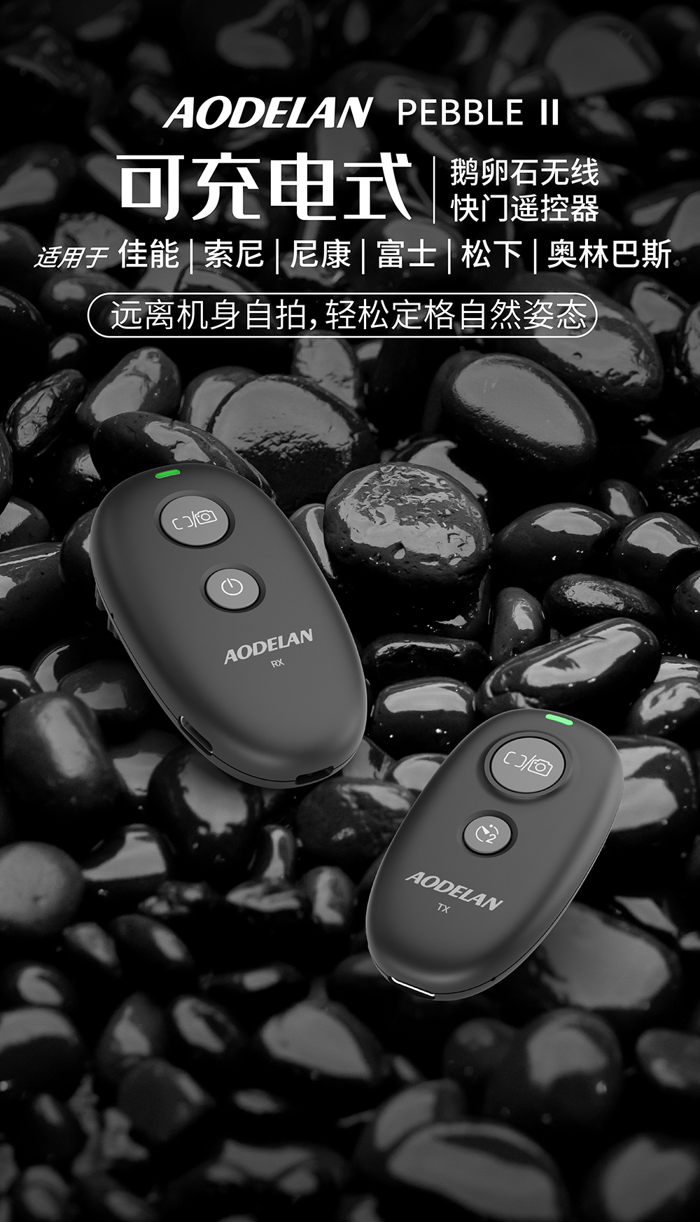 画板 1.jpg