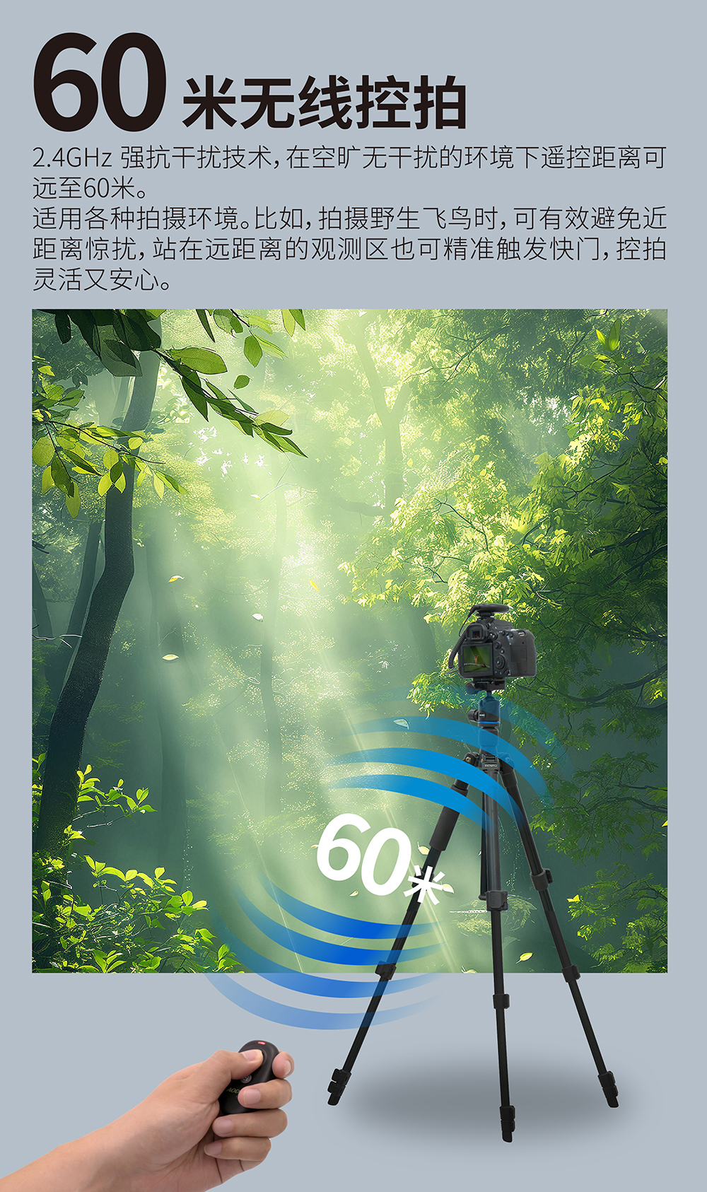 画板 8.jpg